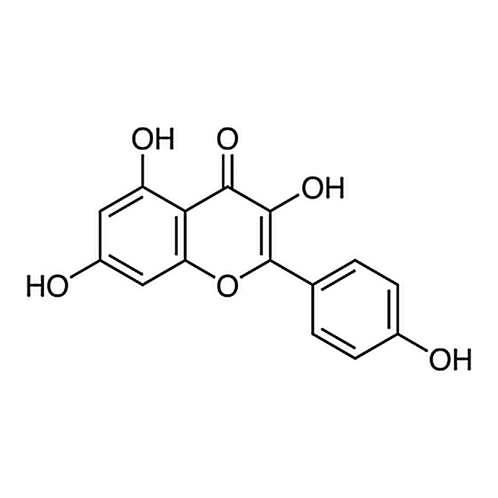 TCI Kaempferol