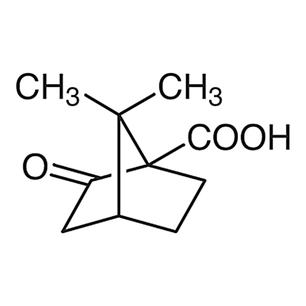 TCI (S)-(+)-Ketopinic Acid