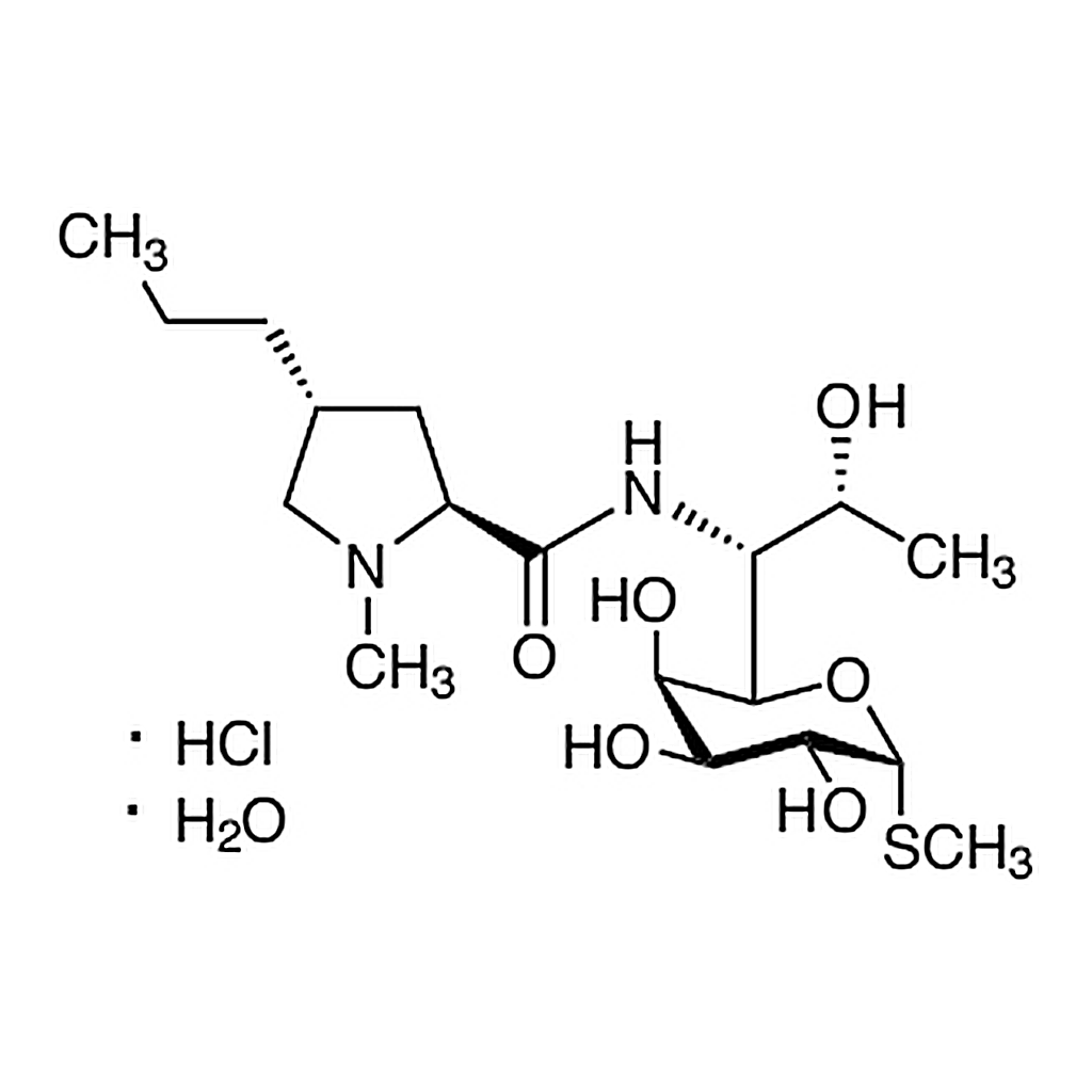 TCI Lincomycin Hydrochloride Monohydrate