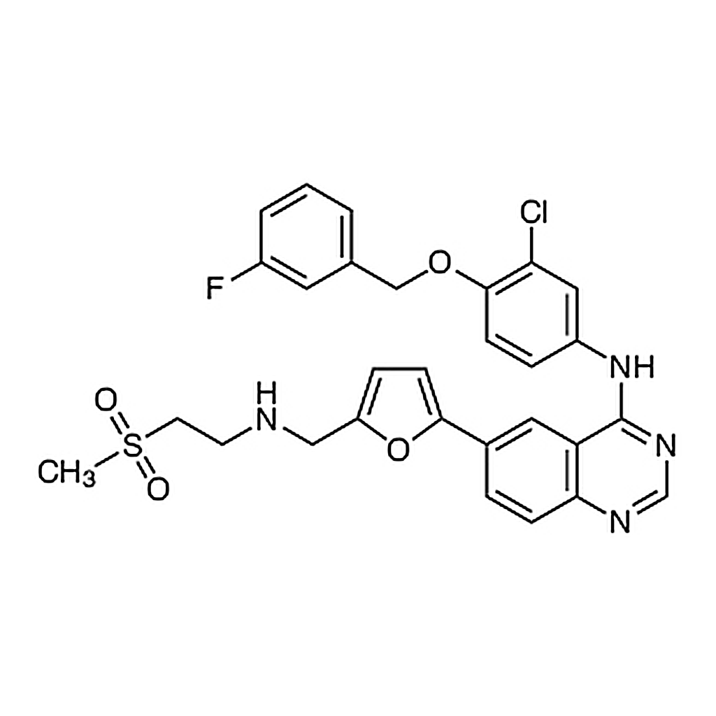 TCI Lapatinib