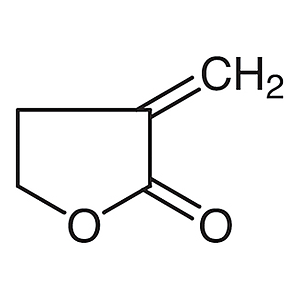 TCI α-Methylene-γ-butyrolactone (stabilized with 2,6-Di-tert-butyl-p-cresol)