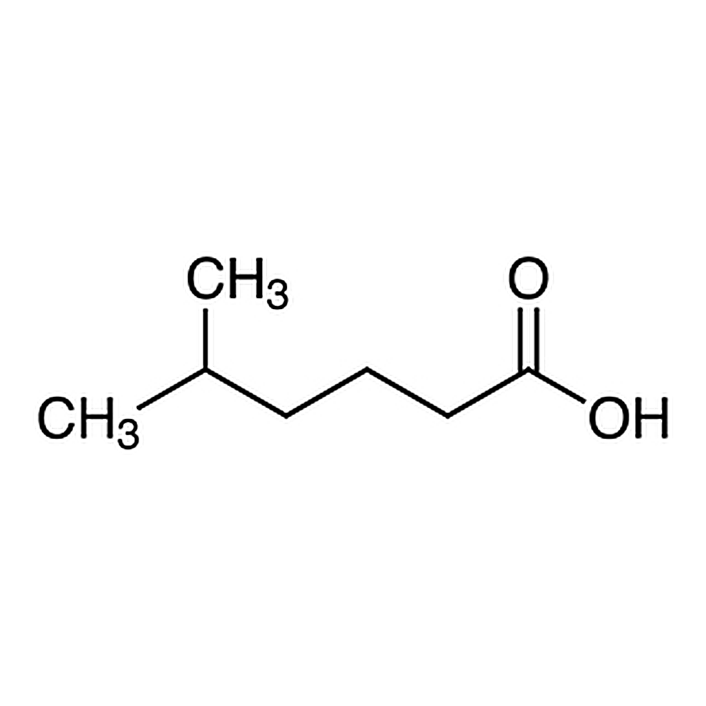 TCI 5-Methylhexanoic Acid