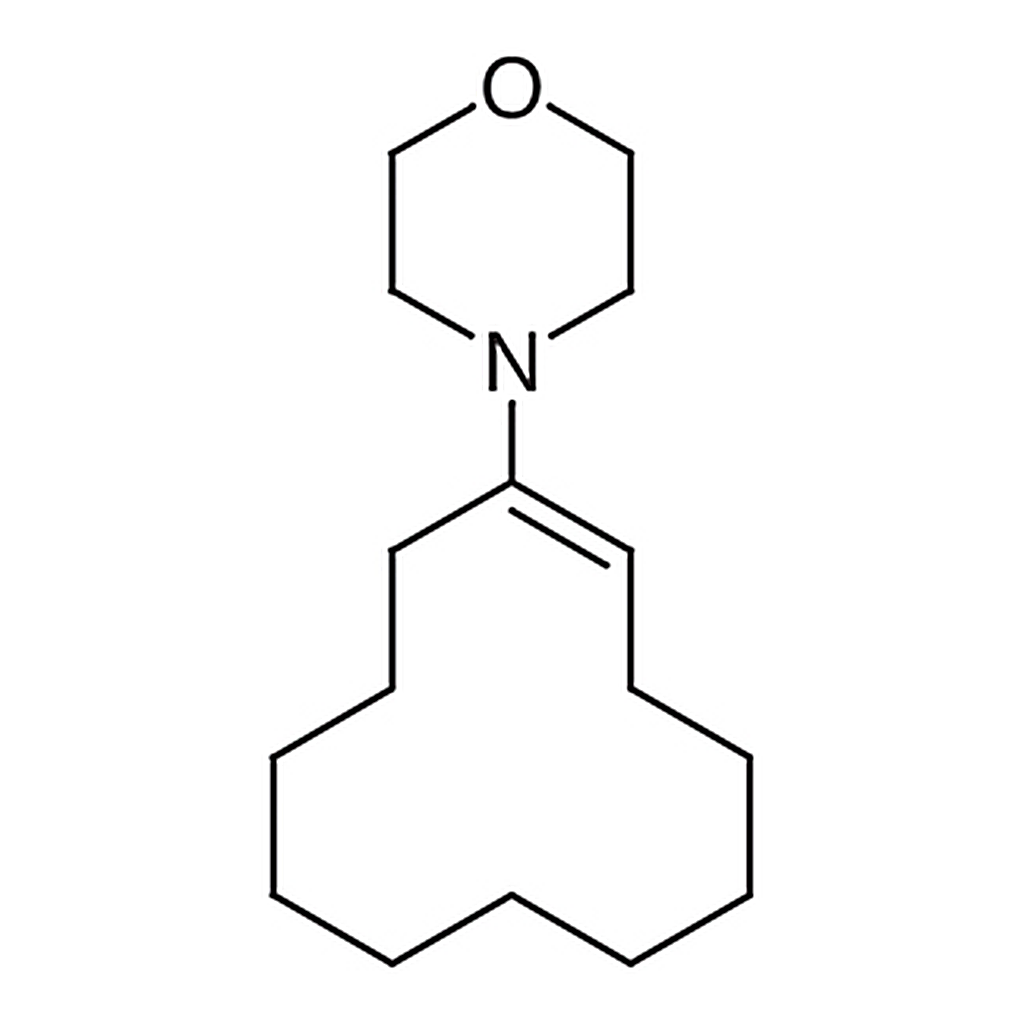 TCI 1-Morpholino-1-cyclododecene