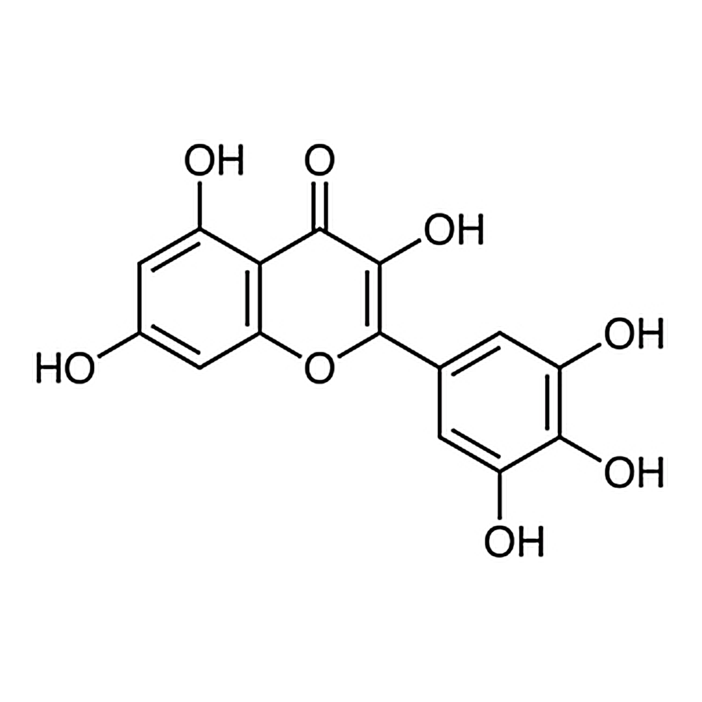 TCI Myricetin