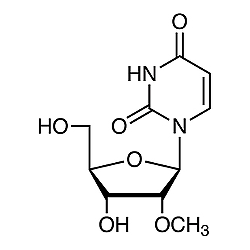 TCI 2'-O-Methyluridine