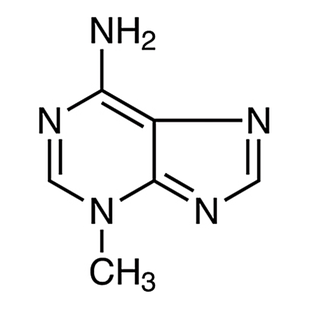 TCI 3-Methyladenine
