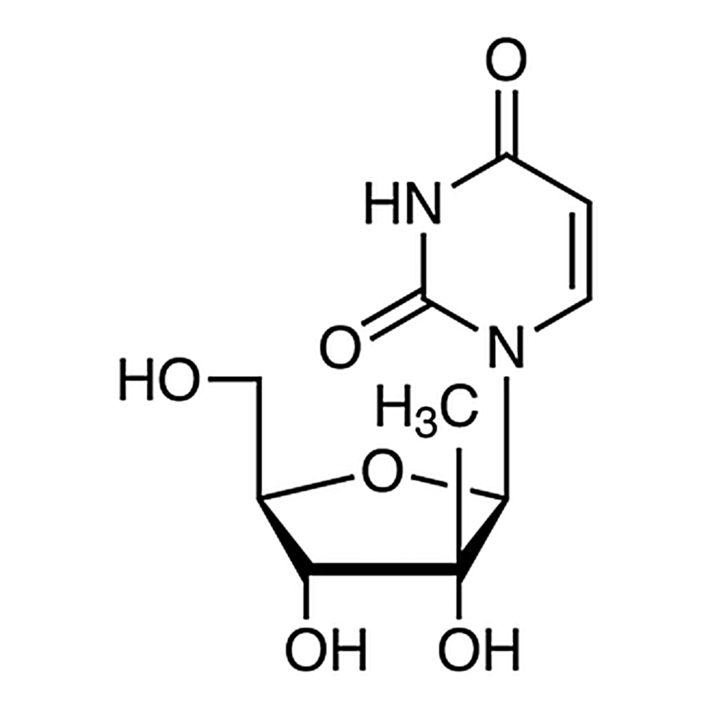 TCI 2'-C-Methyluridine