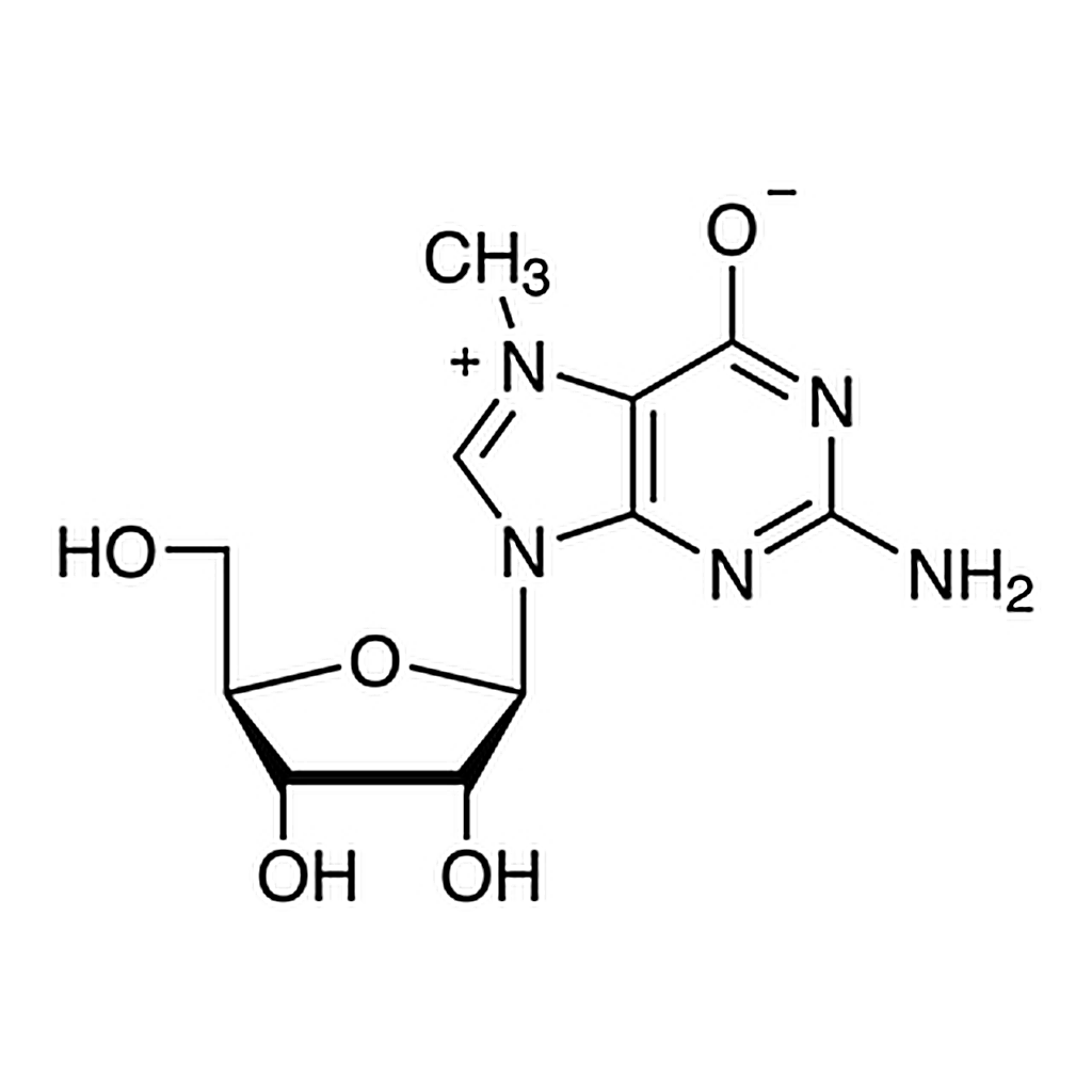 TCI 7-Methylguanosine
