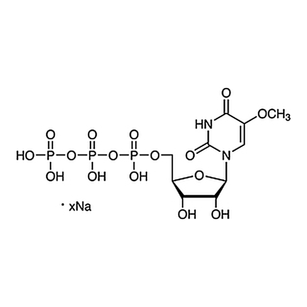 TCI 5-Methoxyuridine-5'-triphosphate Sodium Salt (ca. 85mM in Water) [for transcription][for Molecular Biology]