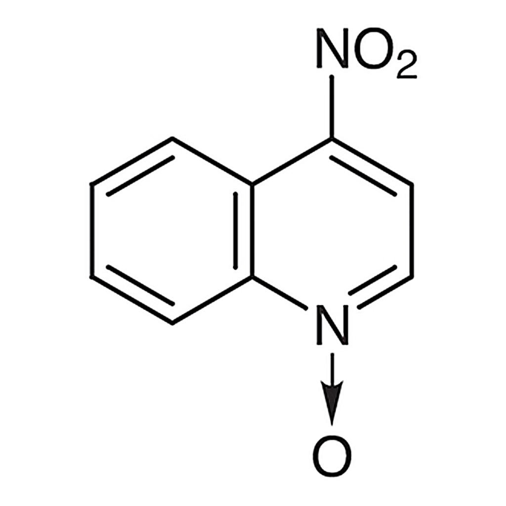 TCI 4-Nitroquinoline N-Oxide