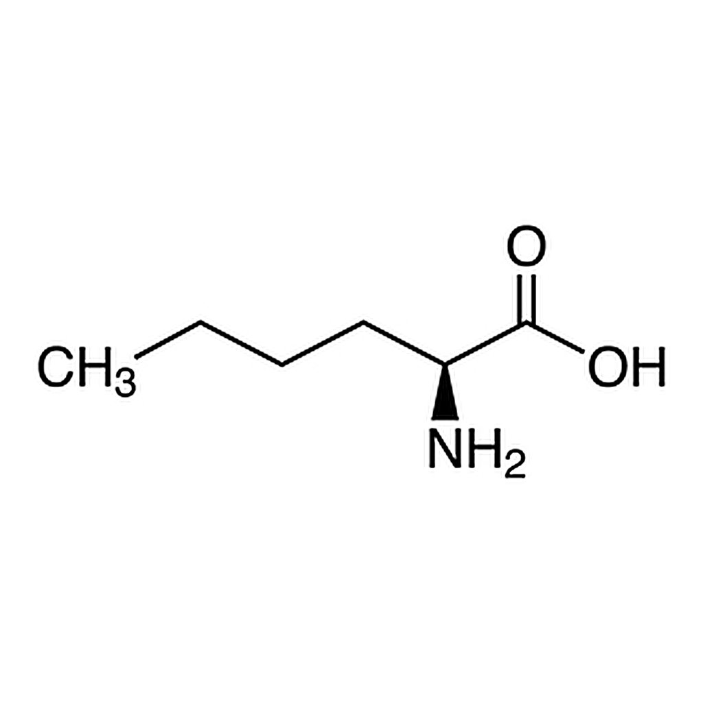 TCI L-Norleucine