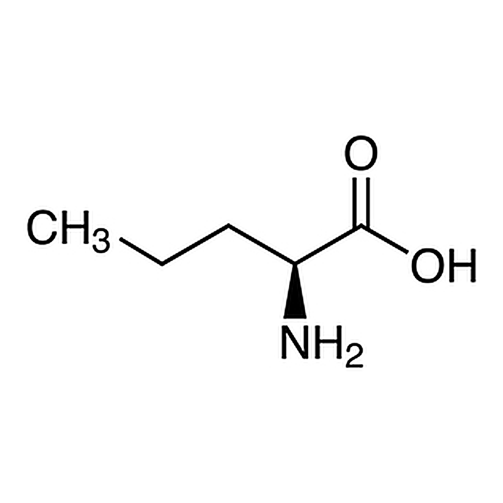 TCI L-Norvaline