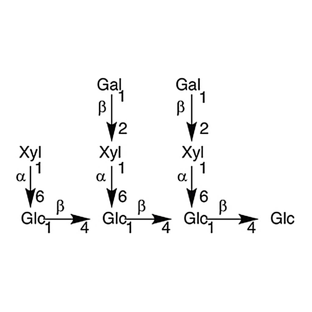 TCI Xyloglucan Nonasaccharide Glc4Xyl3Gal2