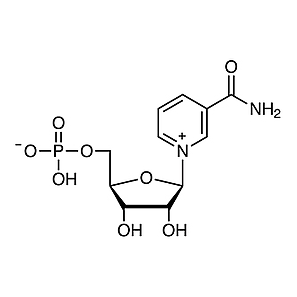 TCI β-Nicotinamide Mononucleotide