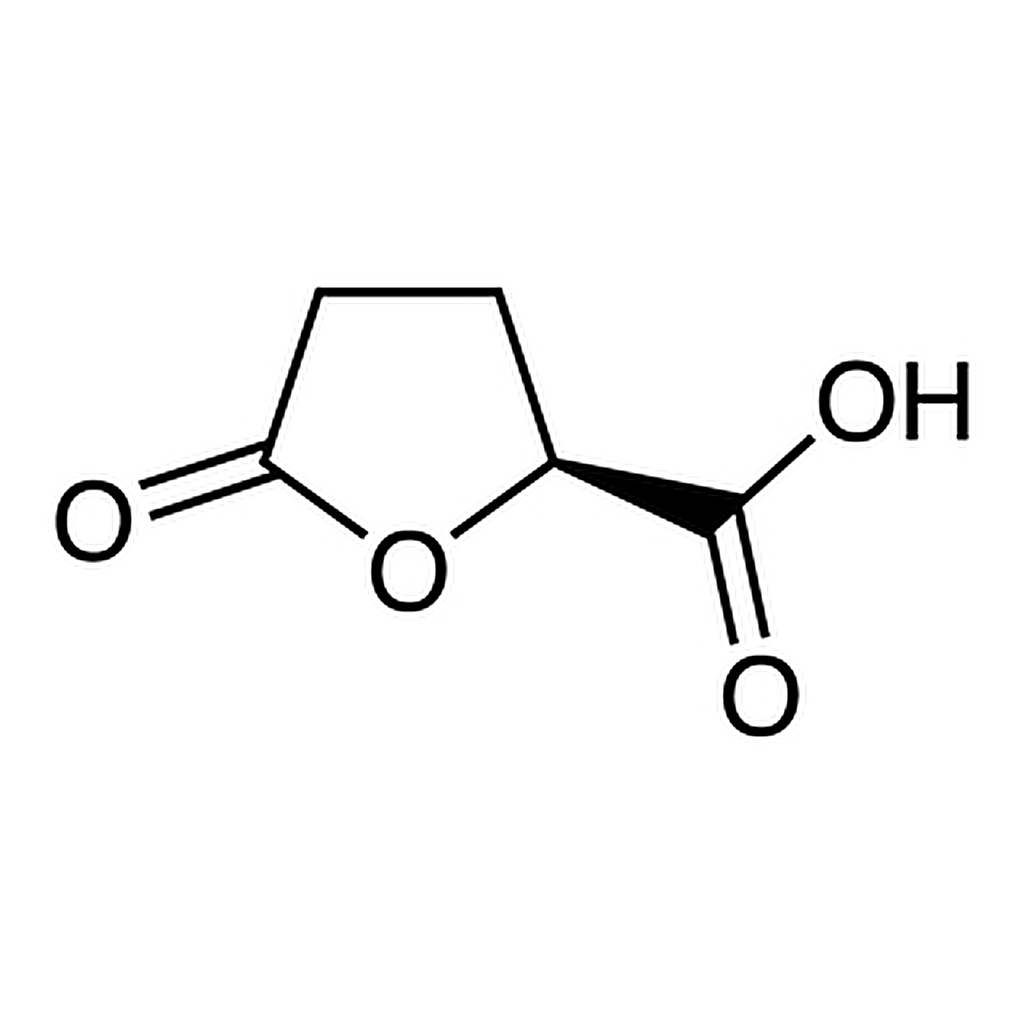TCI (S)-(+)-5-Oxotetrahydrofuran-2-carboxylic Acid