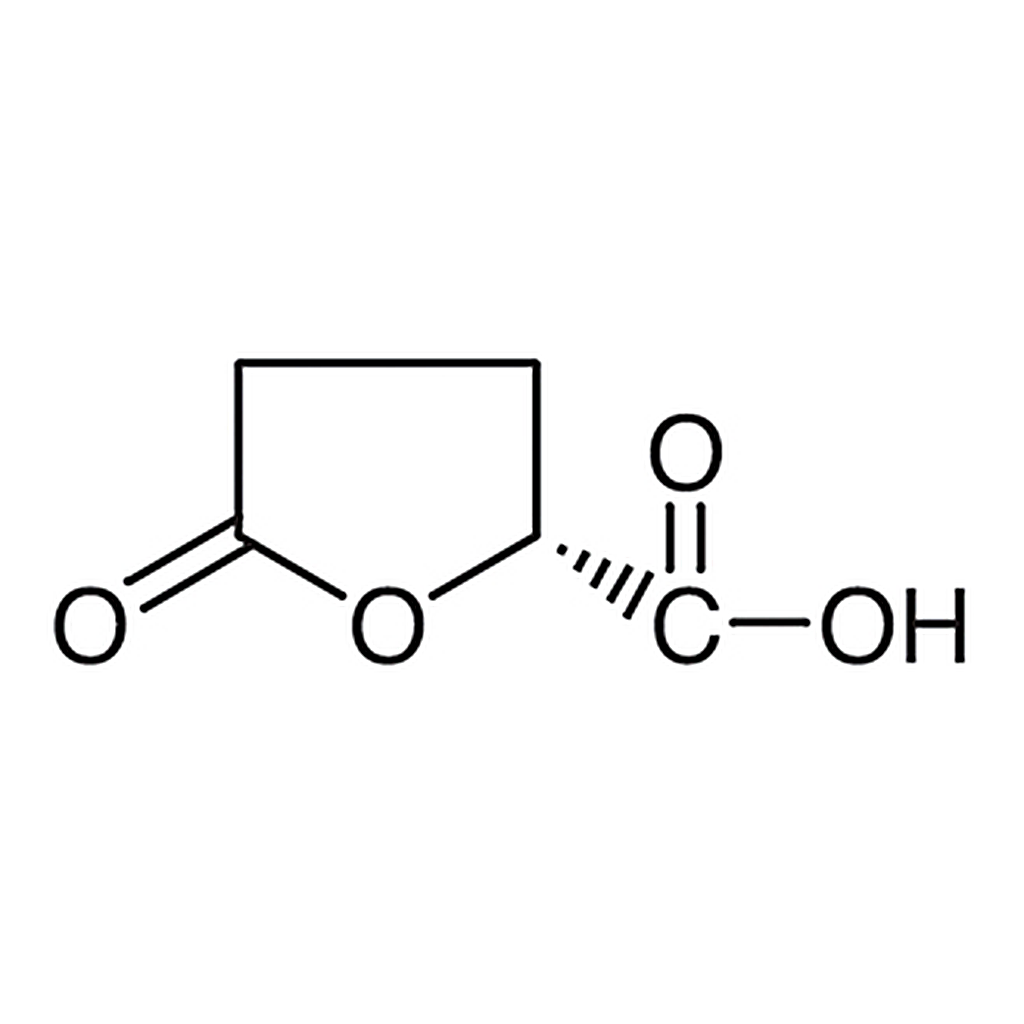 TCI (R)-(-)-5-Oxotetrahydrofuran-2-carboxylic Acid