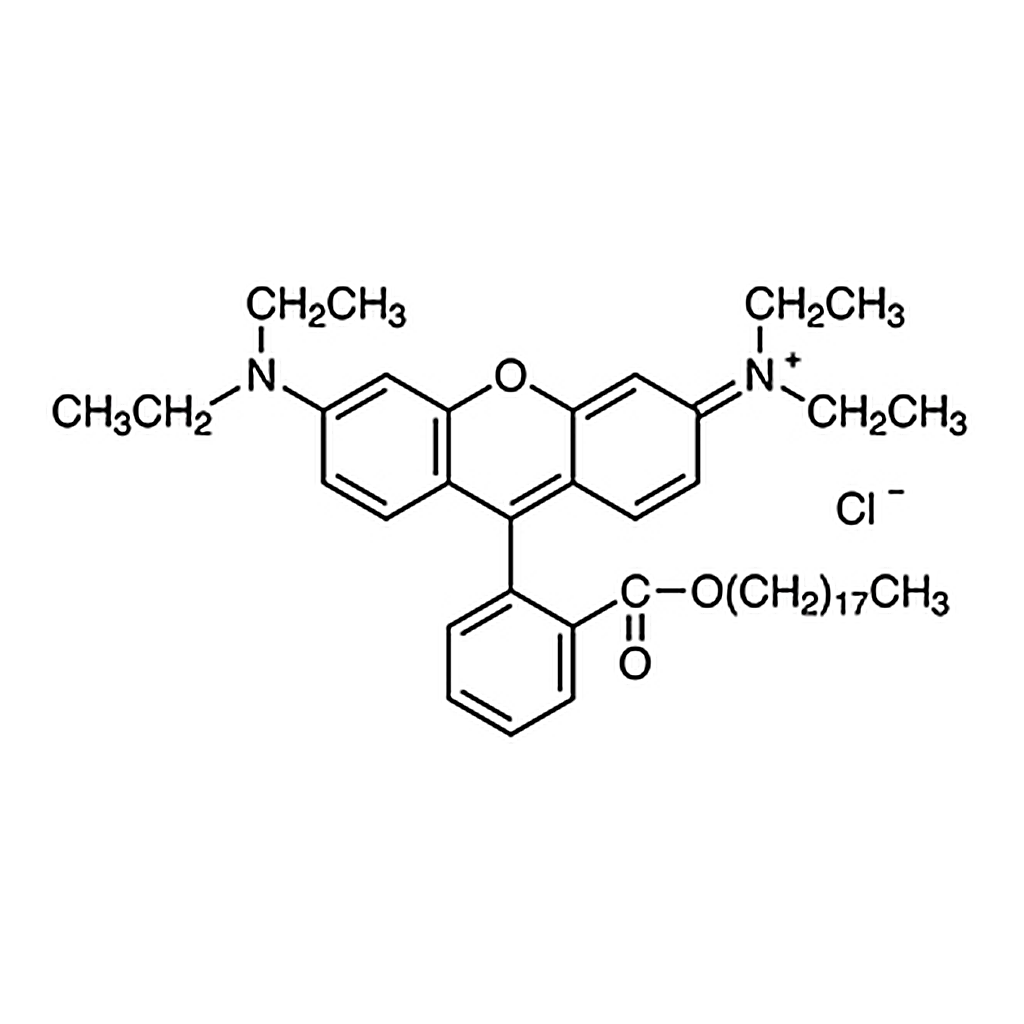 TCI Octadecyl Rhodamine B Chloride