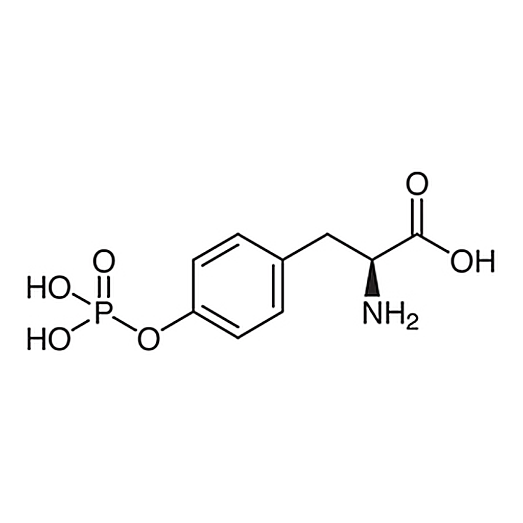 TCI O-Phospho-L-tyrosine