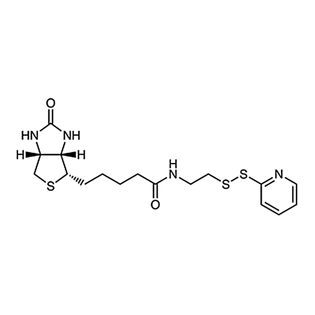 TCI N-[2-(2-Pyridyldithio)ethyl]biotinamide