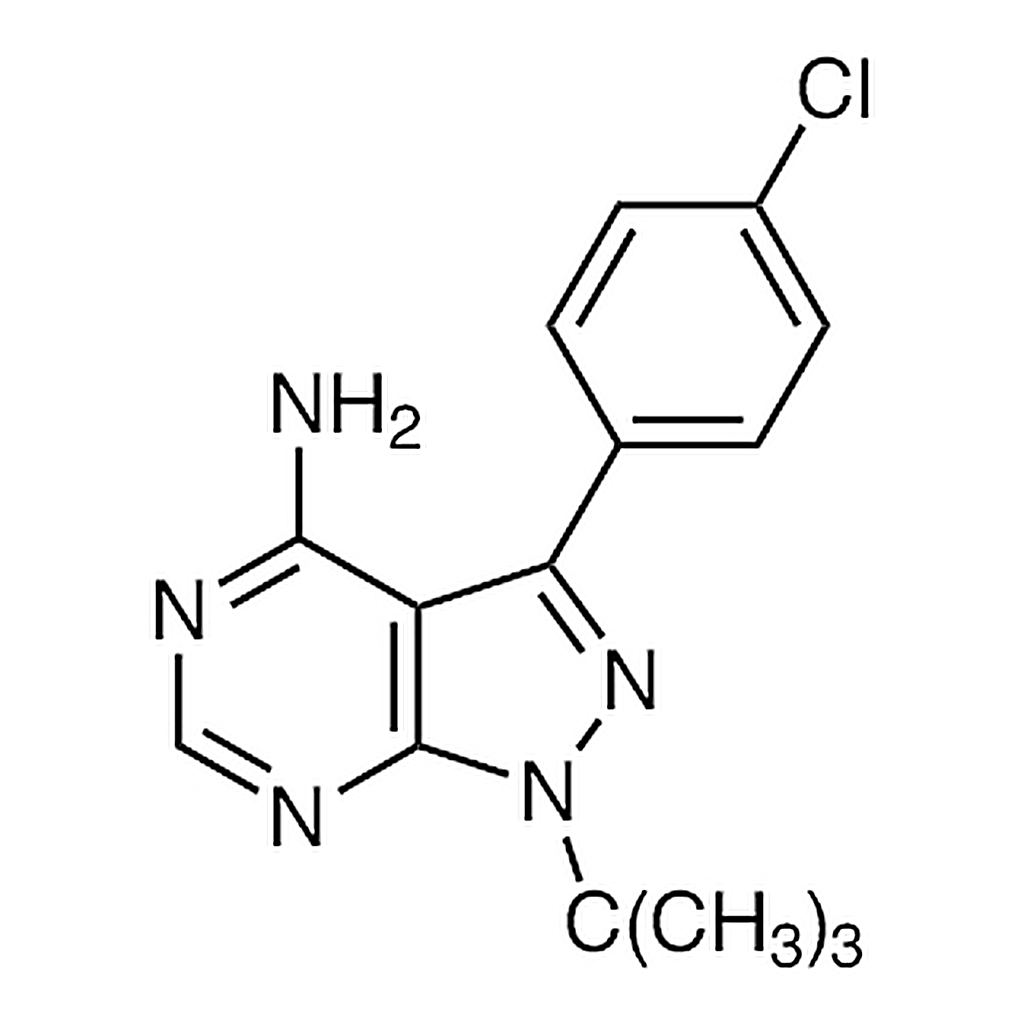 TCI PP 2