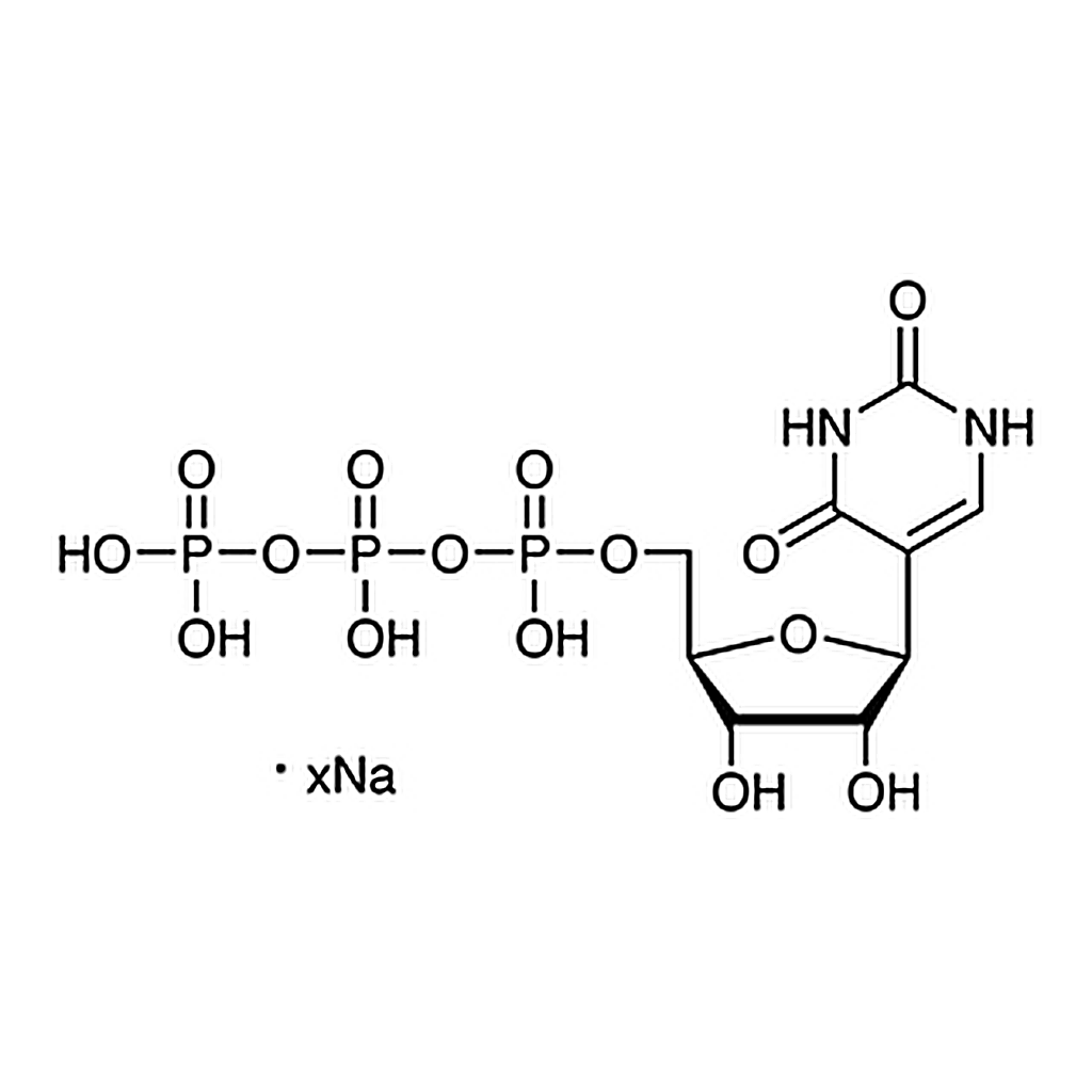 TCI Pseudouridine 5'-Triphosphate Sodium Salt (ca. 100mM in Water) [for transcription][for Molecular Biology]