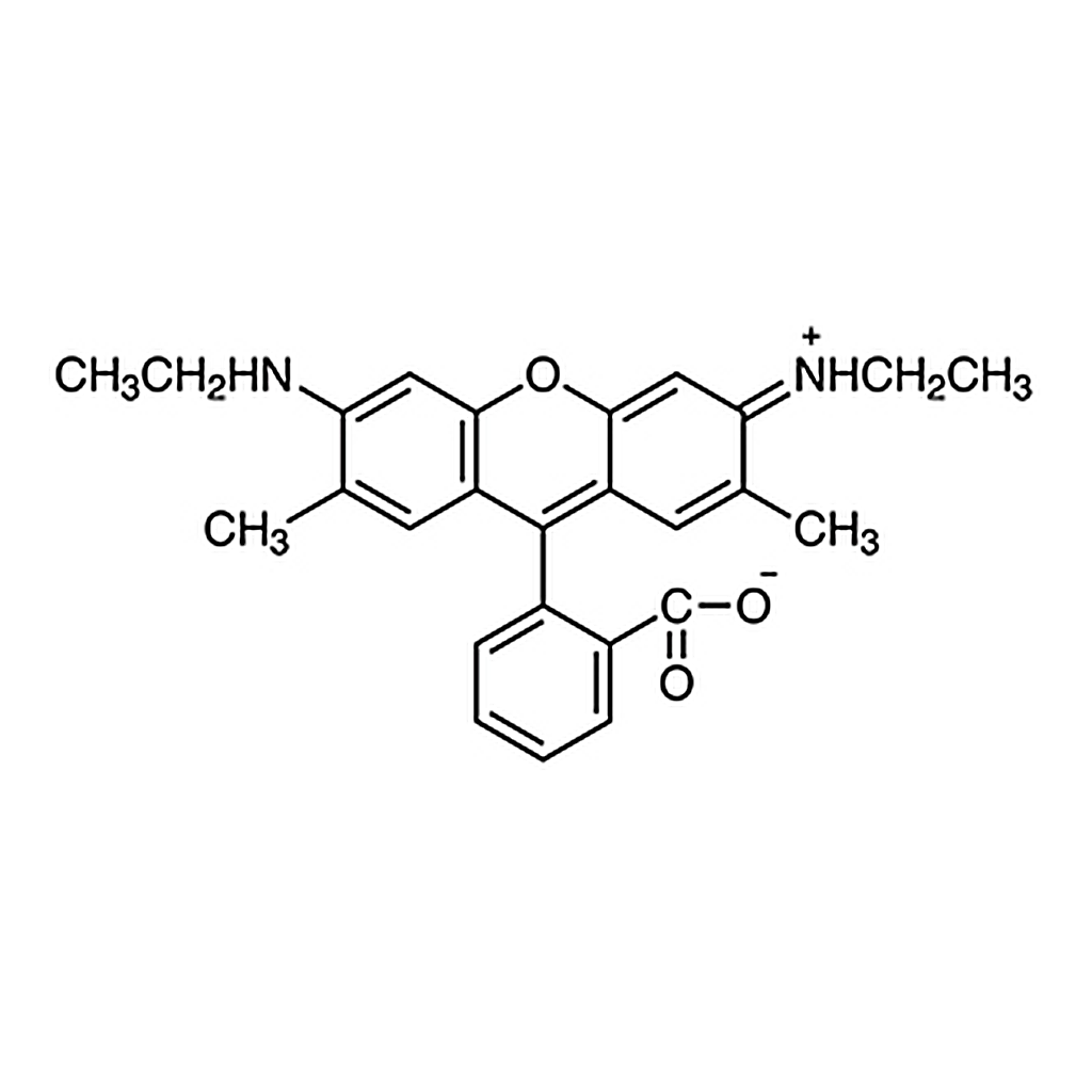 TCI Rhodamine 19