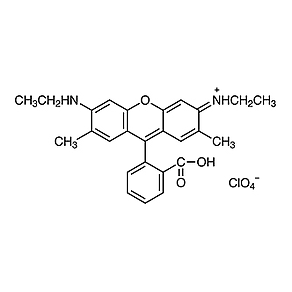 TCI Rhodamine 19 Perchlorate