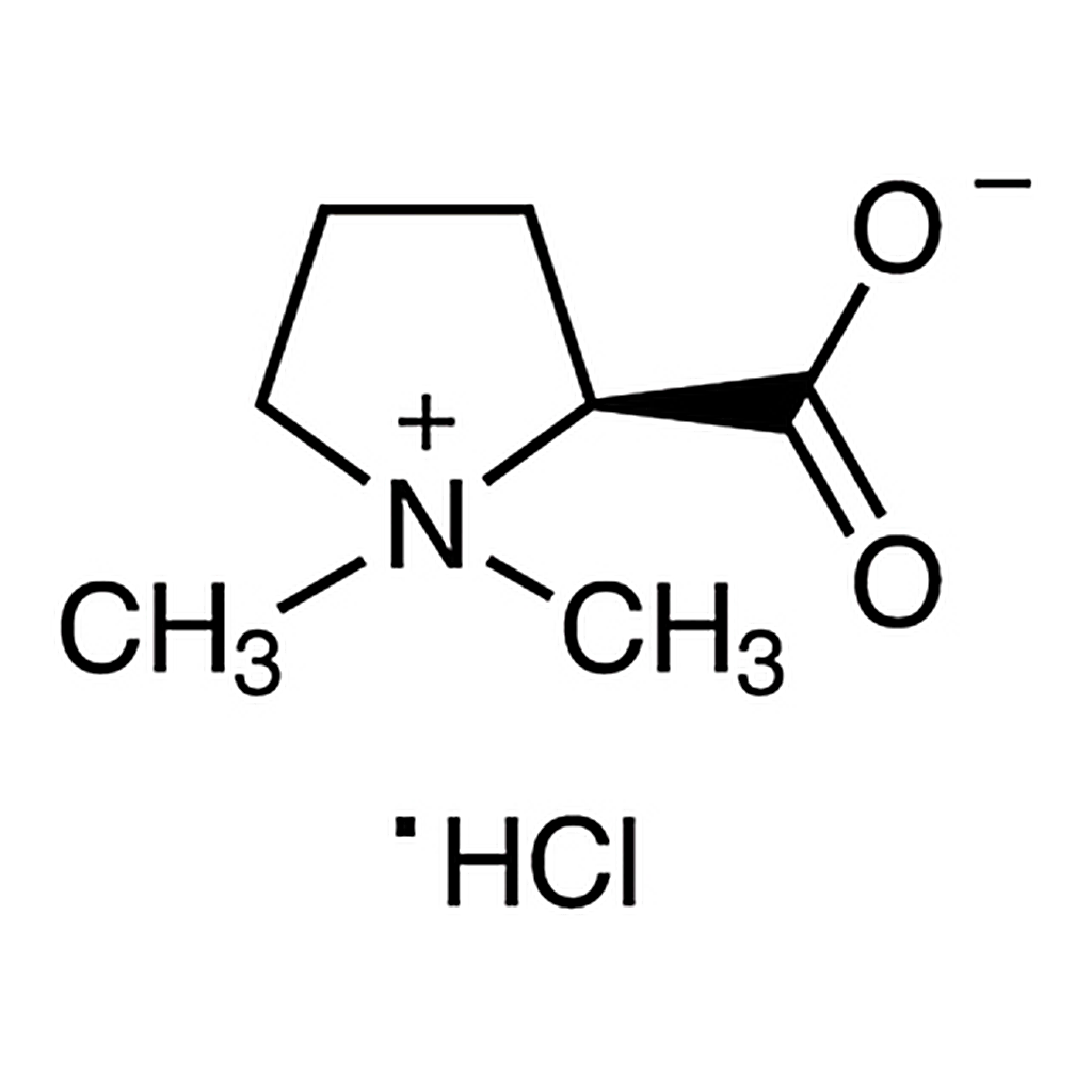 TCI Stachydrine Hydrochloride