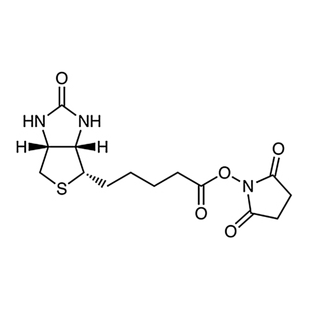 TCI N-Succinimidyl D-Biotinate