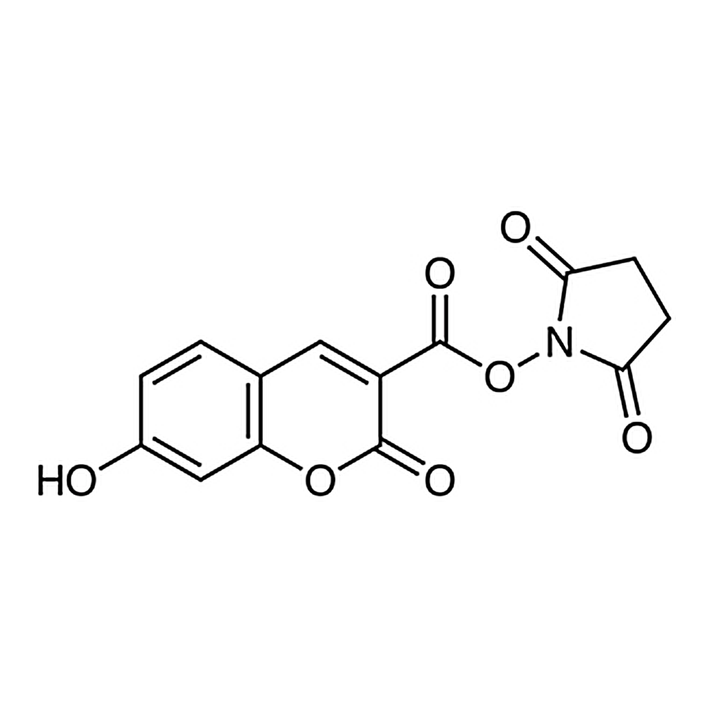 TCI N-Succinimidyl 7-Hydroxycoumarin-3-carboxylate