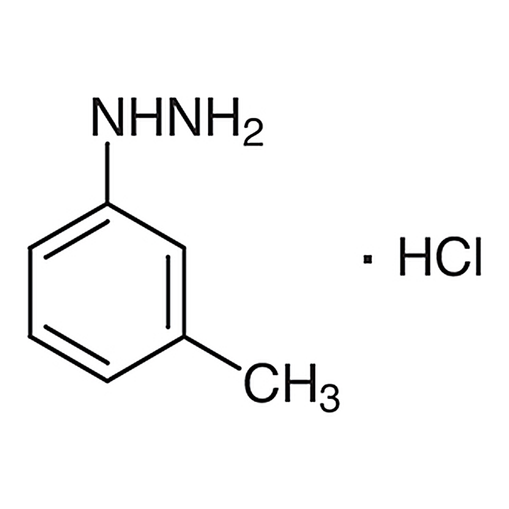 TCI m-Tolylhydrazine Hydrochloride