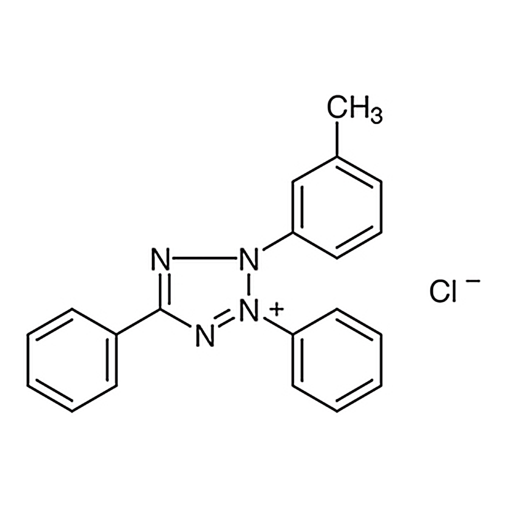 TCI m-Tolyltetrazolium Red