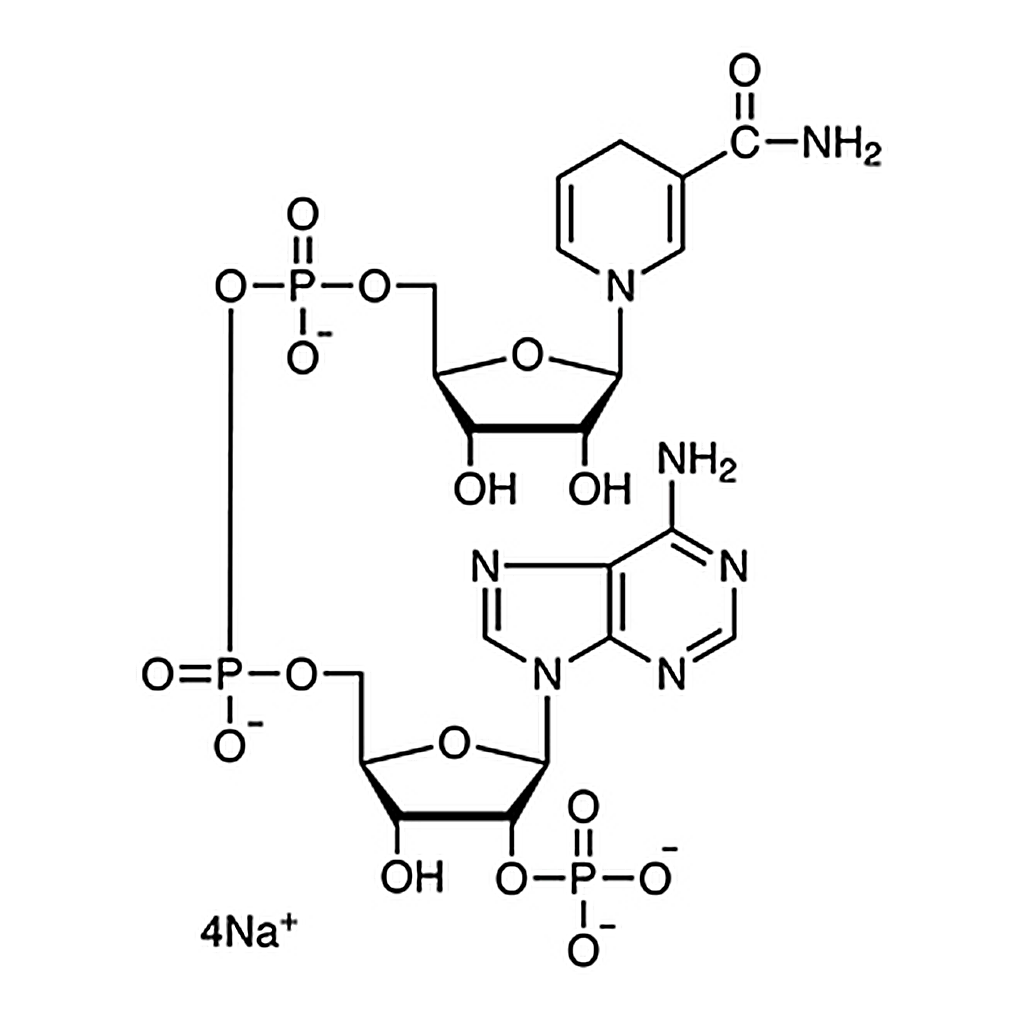 TCI β-Nicotinamide Adenine Dinucleotide Phosphate Tetrasodium Salt reduced form [for Biochemical Research]