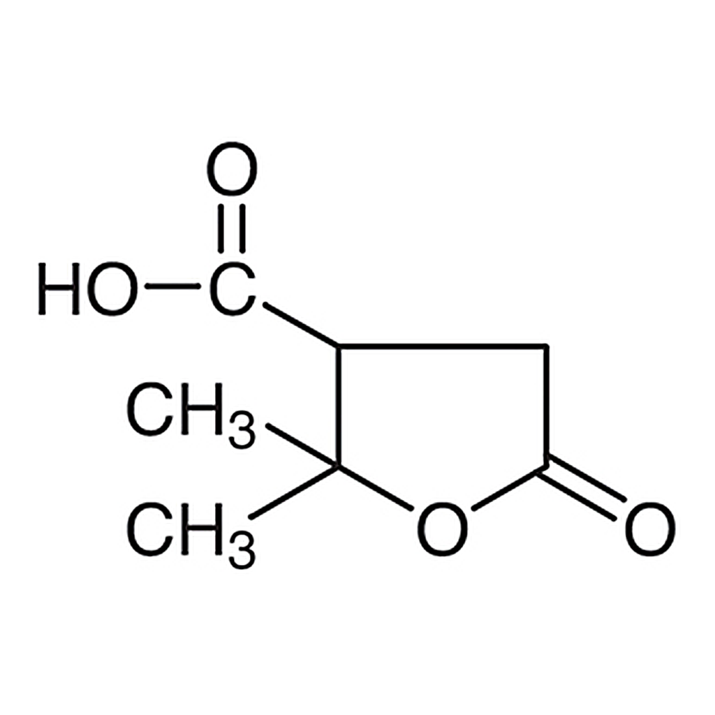 TCI Terebic Acid