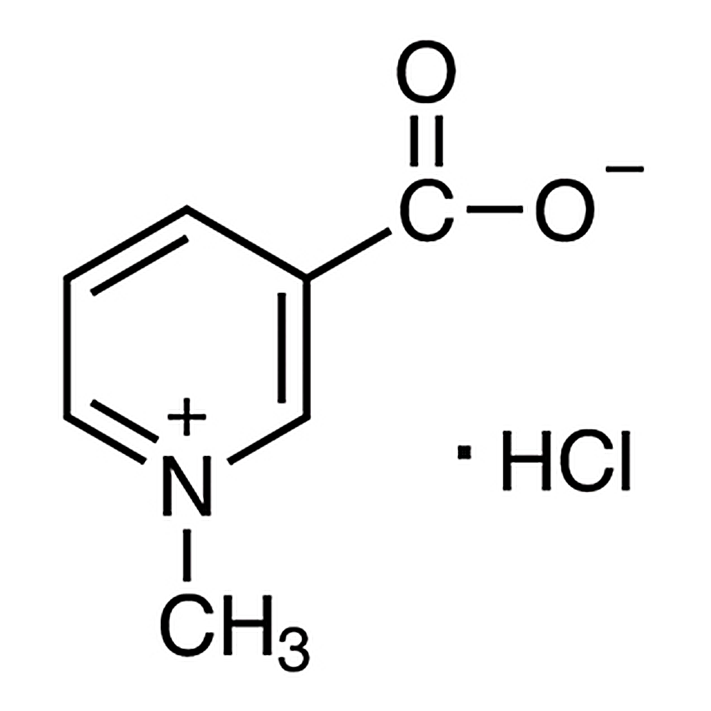 TCI Trigonelline Hydrochloride