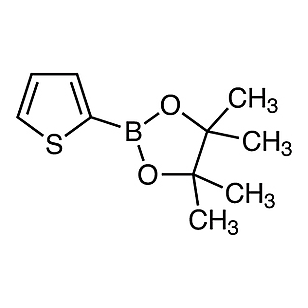 TCI 2-(4,4,5,5-Tetramethyl-1,3,2-dioxaborolan-2-yl)thiophene
