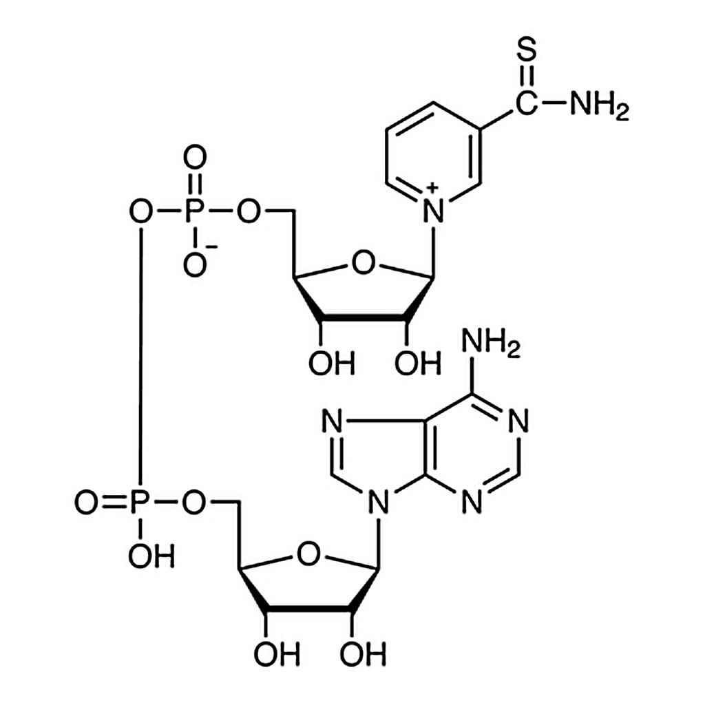 TCI Thionicotinamide Adenine Dinucleotide oxidized form [for Biochemical Research]
