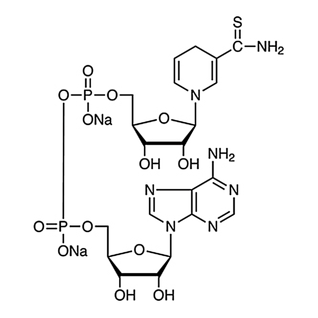 TCI Thionicotinamide Adenine Dinucleotide Disodium Salt reduced form [for Biochemical Research]