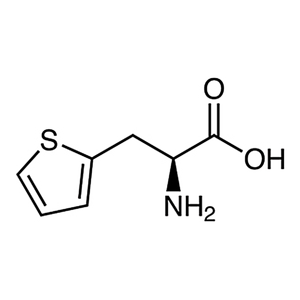 TCI 3-(2-Thienyl)-L-alanine