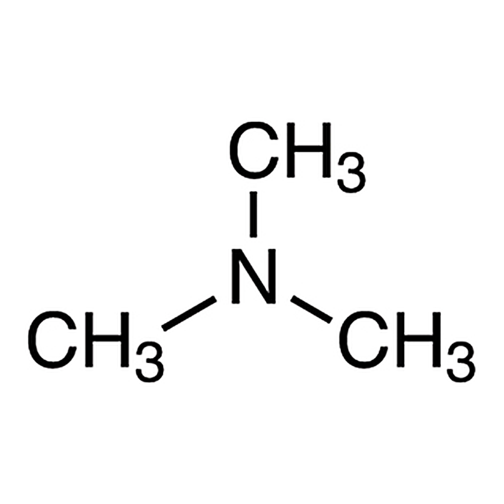 TCI Trimethylamine (ca. 13% in Acetonitrile, ca. 2mol/L)