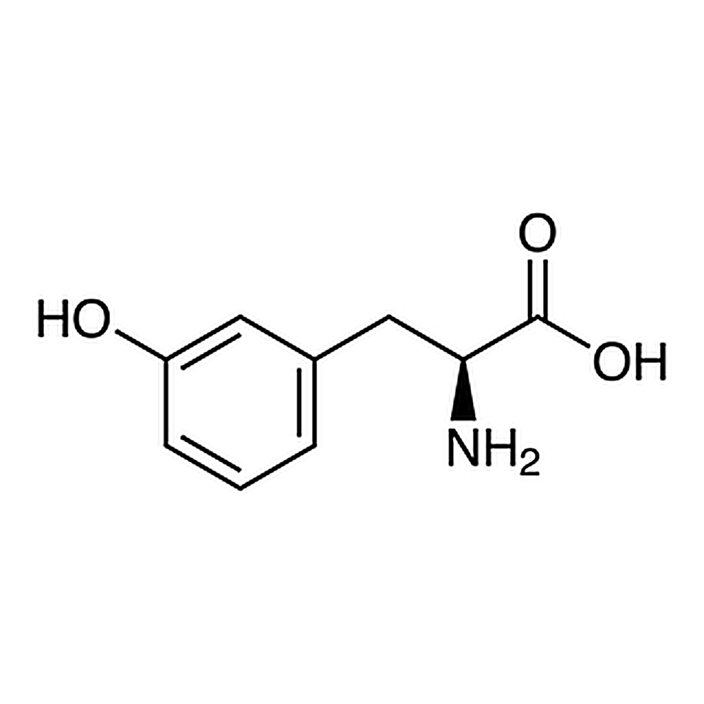 TCI L-m-Tyrosine