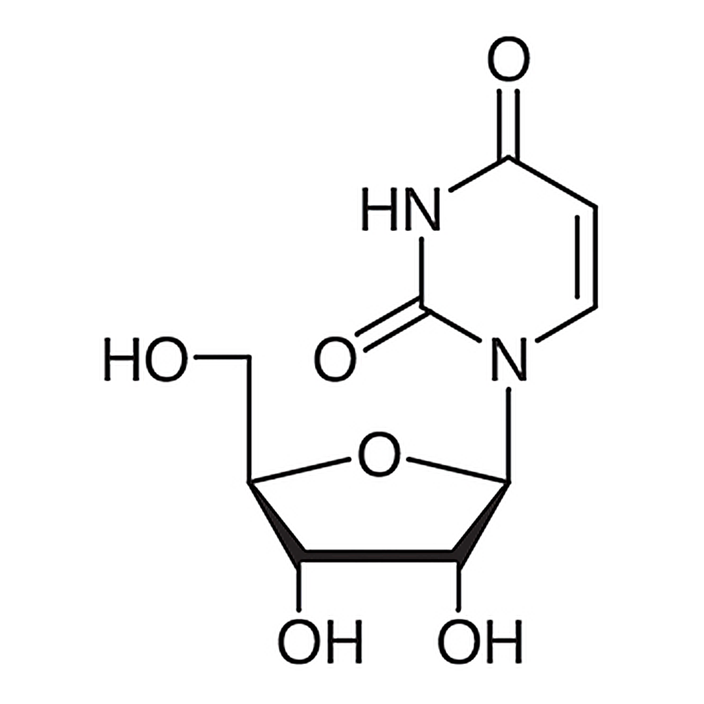 TCI Uridine