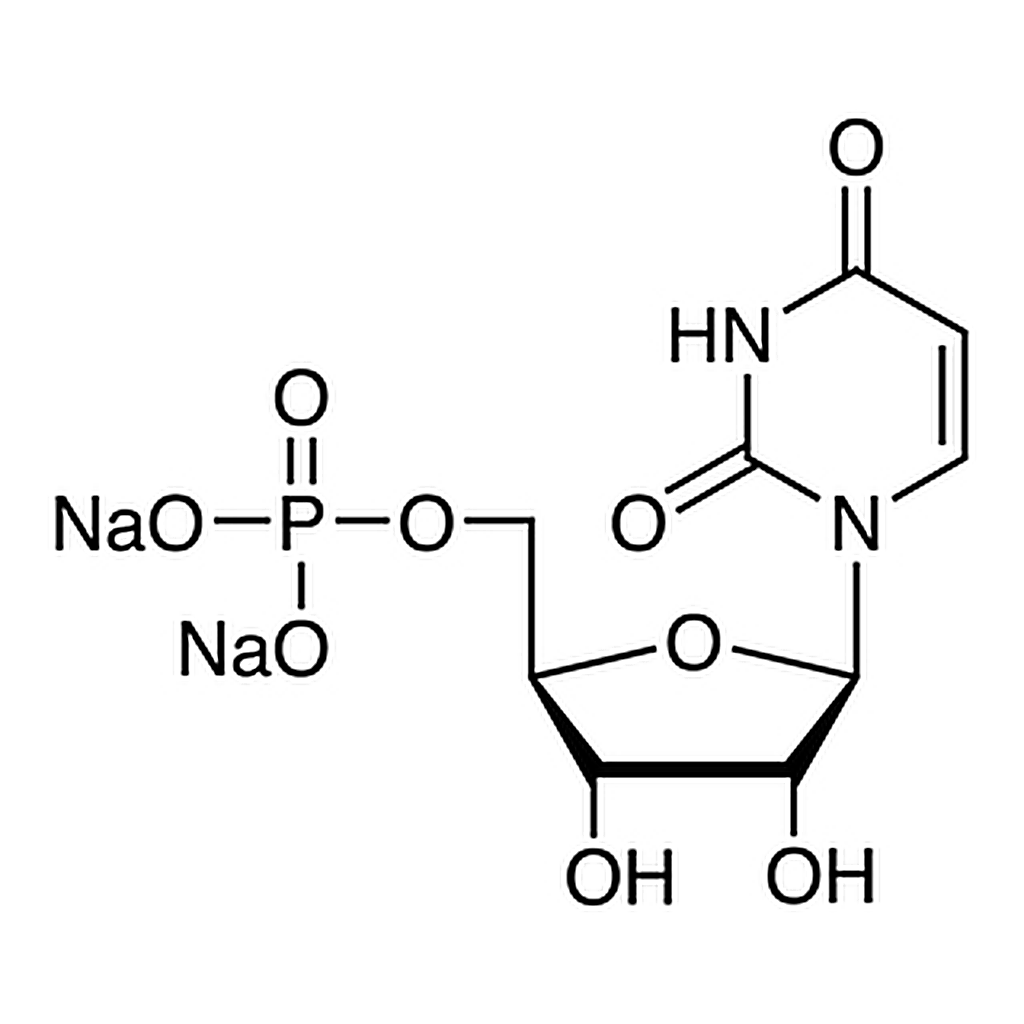 TCI Uridine 5'-Monophosphate Disodium Salt