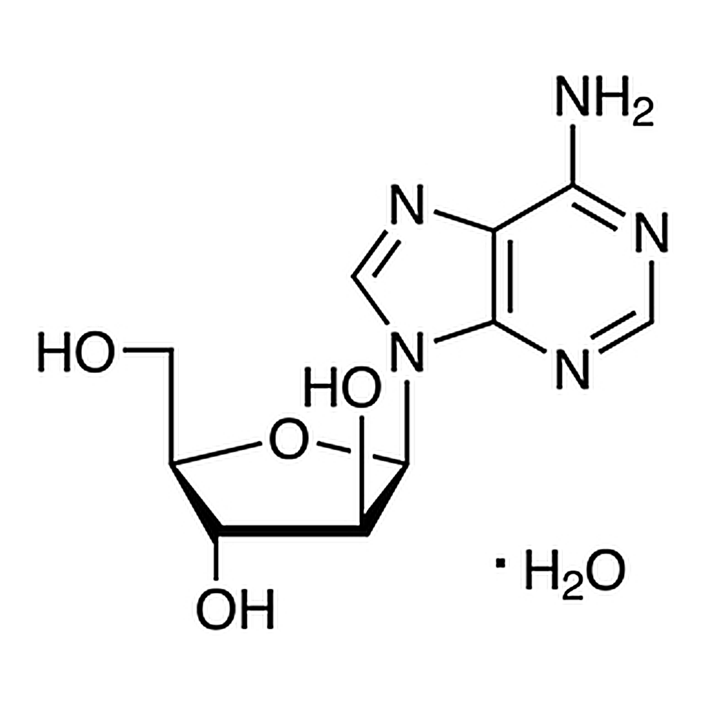 TCI Vidarabine Monohydrate