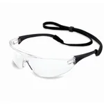 Thermo Fisher Scientific North Millennia Sport Safety Glasses