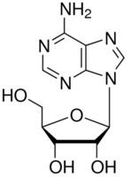 Merck ADENOSINE FREE BASE