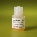 Thermo Fisher Scientific Pierce Peroxide Assay Reagent C