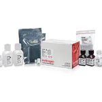 Thermo Fisher Scientific RNAqueous-96 Total RNA Isolation Kit