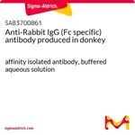 Merck Anti-Rabbit IgG (Fc specific) antibody produced in donkey