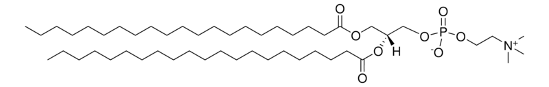 Merck 21:0 PC